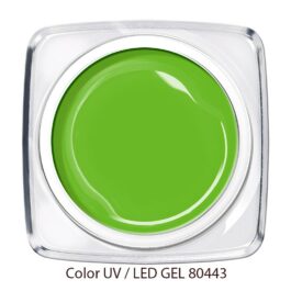 Color Gel – Neon Grün – 80443